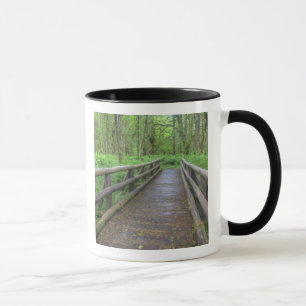 Esdoorn Glade trail houten brug, varens en Mok