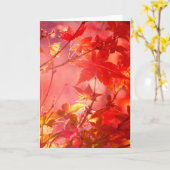 Esdoorn Kaart (Gele Bloem)