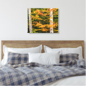 Esdoorn & witte berk | White Mountains, NH Canvas Afdruk (Insitu (Slaapkamer))