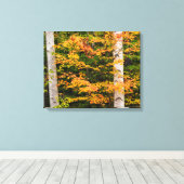 Esdoorn & witte berk | White Mountains, NH Canvas Afdruk (Insitu (Houten vloer))