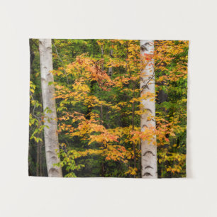 Esdoorn & Witte Berk White Mountains, NH Wandkleed