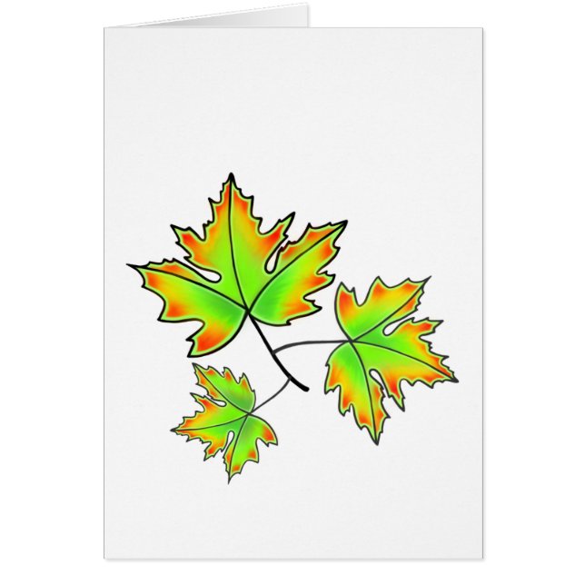 Esdoornblad, botanisch, rode oranje groene bladere (Voorkant)