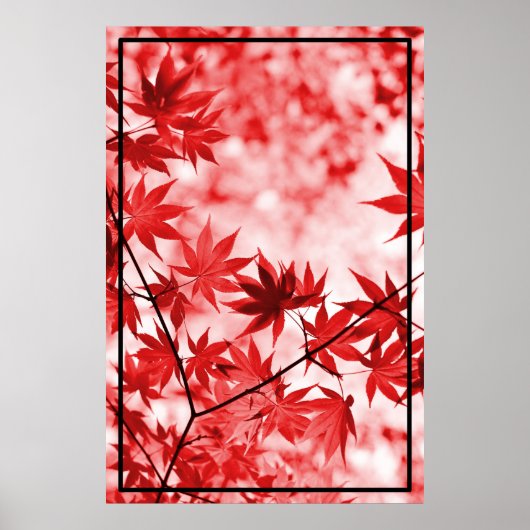 Esdoornbomen bladeren ontwerp poster (Voorkant)