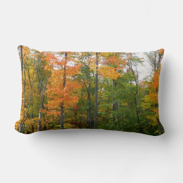 Esdoornbomen in de herfst Natuurfotografie Kussen (Voorkant)
