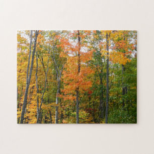 Esdoornbomen in de herfst Natuurfotografie Legpuzzel
