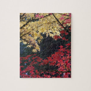 Esdoornbomen in herfstkleuren legpuzzel