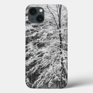 Esdoorndak Esboomt in Sneeuw iPhone 13 Hoesje