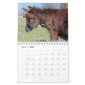 Esel oder Donkey als Kalender (Jan 2026)