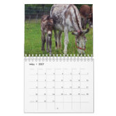 Esel ou Donkey comme calendrier (Mar 2027)