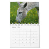 Esel ou Donkey comme calendrier (Feb 2026)