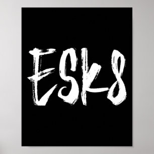Esk8 - Elektrisch Skateboarden Poster