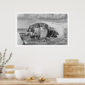 Eskimo Camp Nome, Alaska Foto 1916 Poster (Keuken)