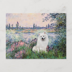 Eskimo Spitz 1 - Aan de Seine Briefkaart