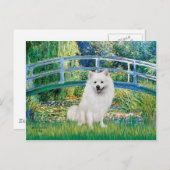 Eskimo Spitz 1 - Brug Briefkaart (Voorkant / Achterkant)