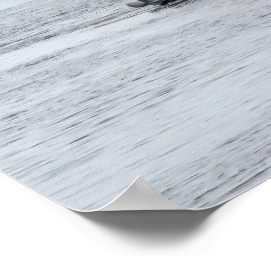 Esmeralda Poster (Hoek)