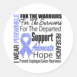 Esophageale kanker Ik Draag Periwinkle Ribbon TRIB Ronde Sticker