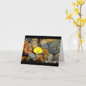 Esp & de lege kaart van de waterdaling (Gele Bloem)