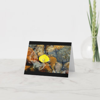 Esp & de lege kaart van de waterdaling