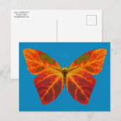 esp-lefbutterfly 2 briefkaart (Voorkant / Achterkant)