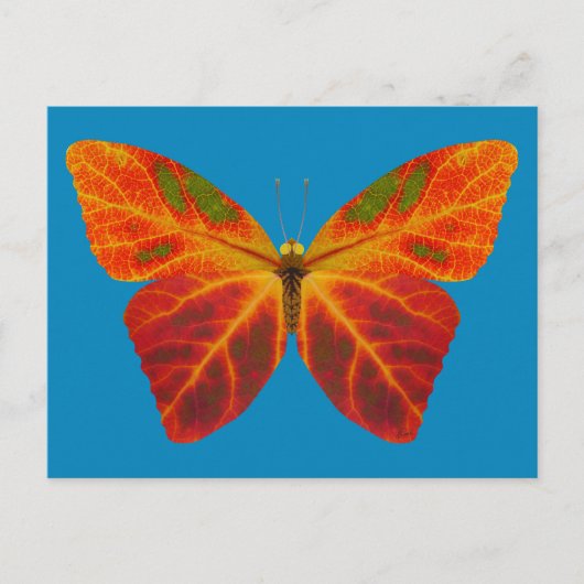 esp-lefbutterfly 2 briefkaart (Voorkant)