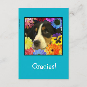 Espagnol : Carte de remerciement / Merci !