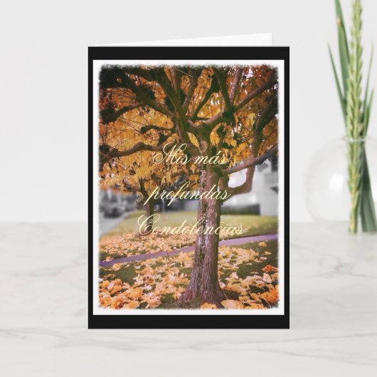 Espagnol : carte de sympathie (Devant)