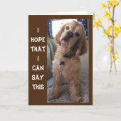 **ESPAGNOL COMIDIQUE" BONNE "70ème" carte d'annive (Fleur jaune)