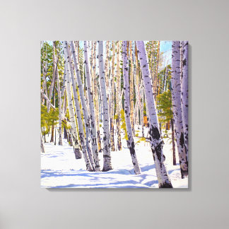 Espen in Sneeuw Canvas Print