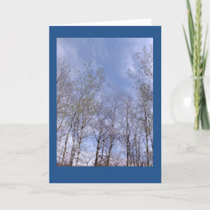 Espen tegen een Kaart van de Nota van de Hemel van