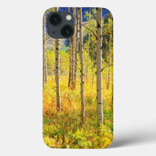 Espenbomen in de herfst in de Rockies iPhone 13 Hoesje