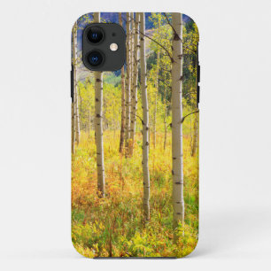 Espenbomen in de herfst in de Rockies iPhone 11 Hoesje