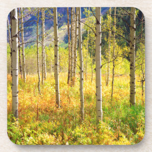 Espenbomen in de herfst in de Rockies Onderzetter