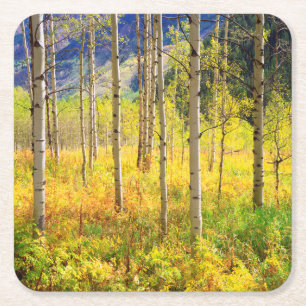 Espenbomen in de herfst in de Rockies Vierkante Kartonnen Onderzetter