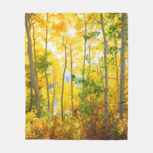 Espenbomen in de herfst   Sierra Nevada-gebergte,  Fleece Deken