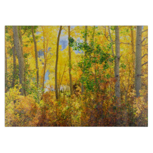 Espenbomen in de herfst Sierra Nevada-gebergte, Snijplank