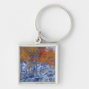 Espenbomen in herfstkleuren, Bighorn Mountains, Sleutelhanger