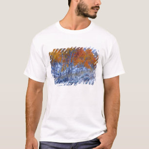 Espenbomen in herfstkleuren, Bighorn Mountains, T-shirt