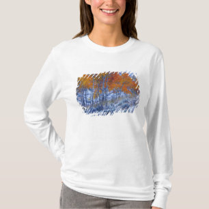 Espenbomen in herfstkleuren, Bighorn Mountains, T-shirt