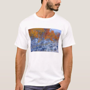 Espenbomen in herfstkleuren, Bighorn Mountains, T-shirt