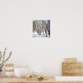 Espenbomen in het bos poster (Keuken)