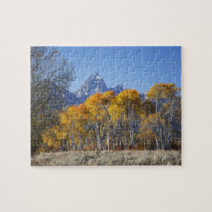 Espenbomen met het Teton-gebergte Legpuzzel