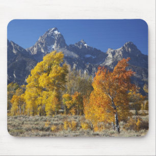 Espenbomen met het Teton-gebergte Muismat