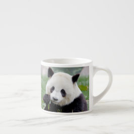 espresso cup Foto reus panda. Kop