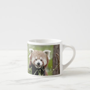 espresso cup Foto rode panda. Kop