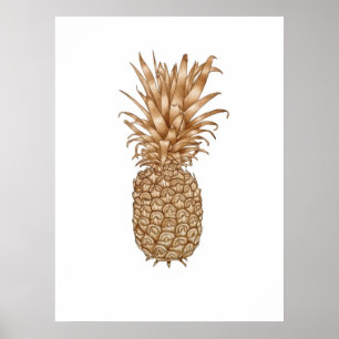 Espresso Pineapple Poster
