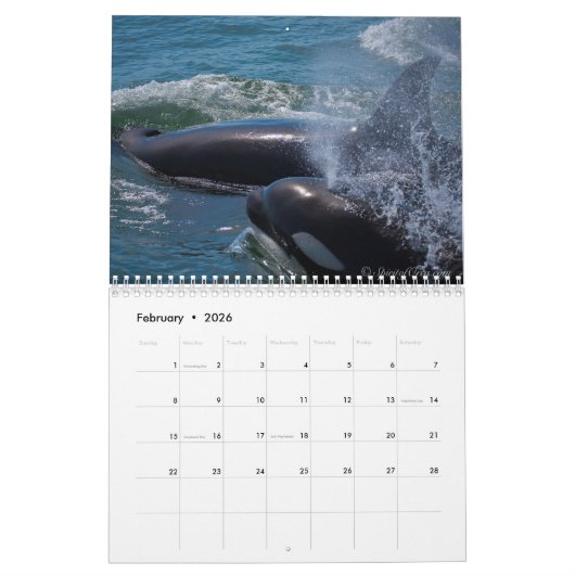 Esprit de calendrier d'épaulards d'orque (Feb 2026)