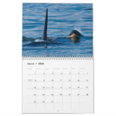 Esprit de calendrier d'épaulards d'orque (Mar 2026)