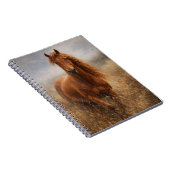 Esprit de cuivre | Cheval alezan | Cahier (Côté Droit)