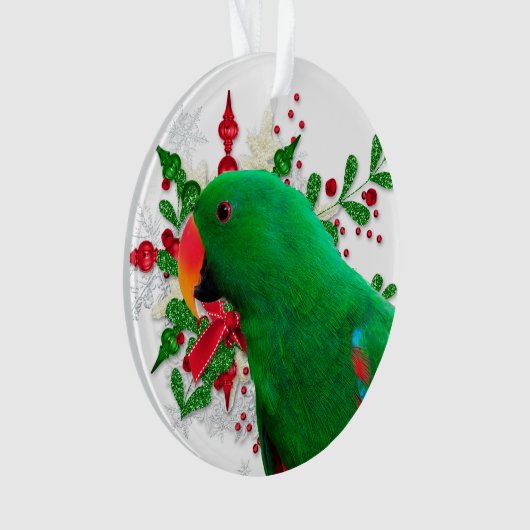 Esprit de Noël Eclectus (devant)