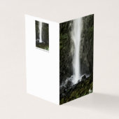 Esprit du bassin (Outside)